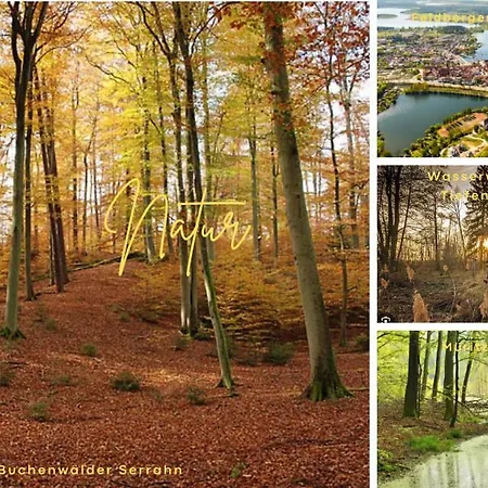Modernes Mit 4 Separaten Appartements, Je Mit Vollausgestatteter Küchenzeile Und Eigenem Bad, 2 Gehminuten Zum Badesee, Garten, Grillplatz, Kinderspielbereich, Hunde Sind Willkommen