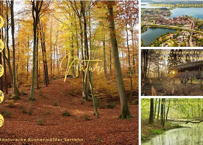 Modernes Mit 4 Separaten Appartements, Je Mit Vollausgestatteter Küchenzeile Und Eigenem Bad, 2 Gehminuten Zum Badesee, Garten, Grillplatz, Kinderspielbereich, Hunde Sind Willkommen